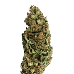 Blue Dream Blackberry CBD